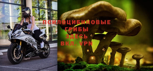 соль курить ск Алексин