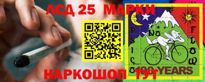 скорость Заводоуковск