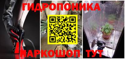 индика Заволжье