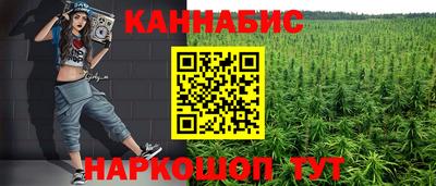 индика Заволжье