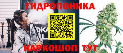 индика Заволжье