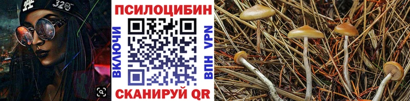 купить   blacksprut зеркало  Галлюциногенные грибы ЛСД  Лобня 