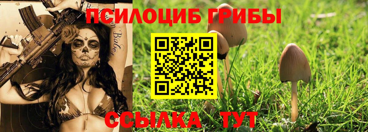 Псилоцибиновые грибы прущие грибы Лобня