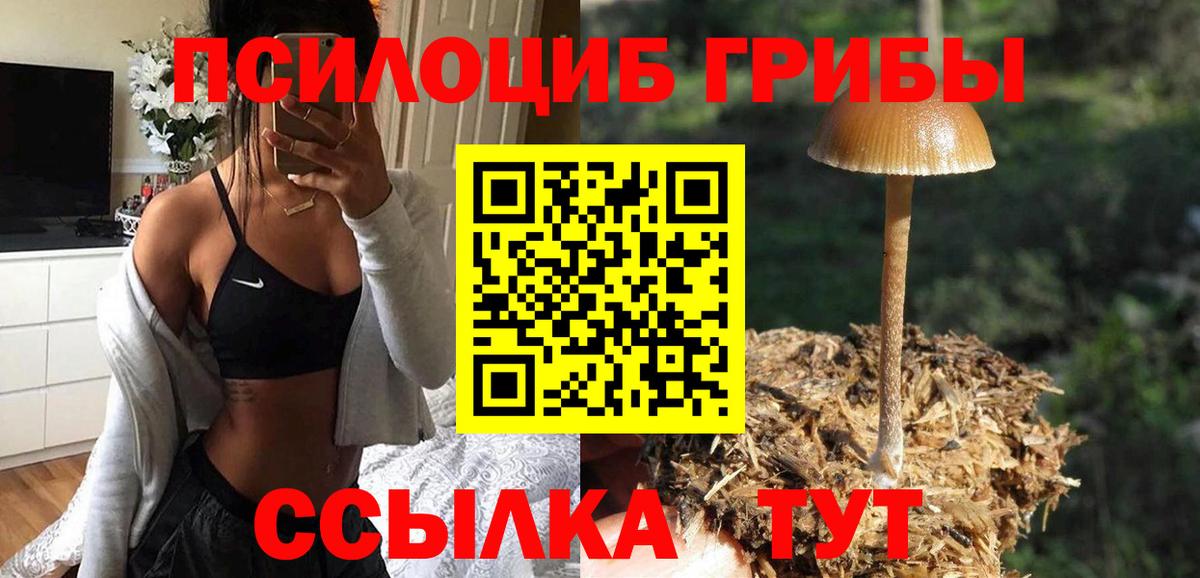 Лобня  Галлюциногенные грибы MAGIC MUSHROOMS  Вход с VPN 